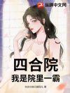 四合院:我是院里一霸